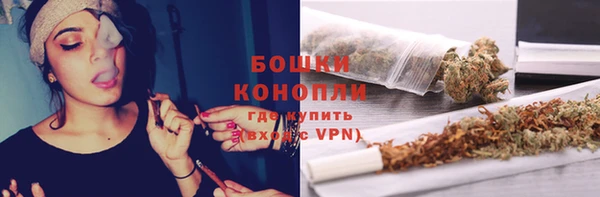 стафф Новодвинск
