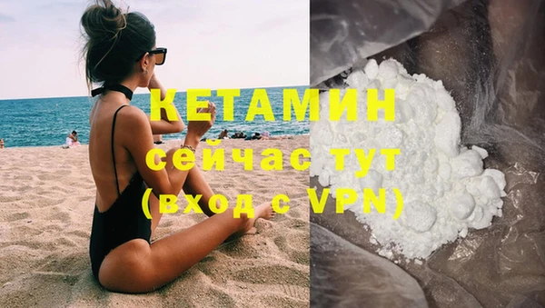 стафф Новодвинск