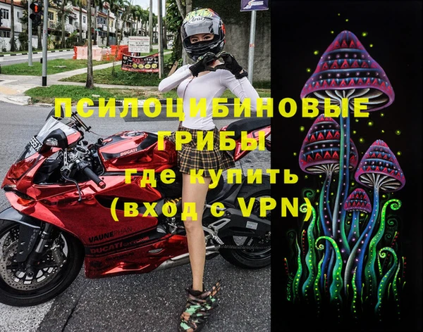 винт Армянск