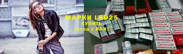 стафф Новодвинск